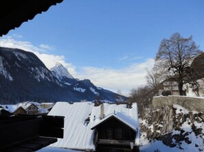mountain views 