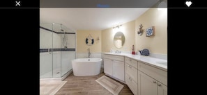 Newly renovated master bath