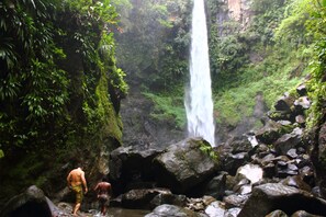 Vandring