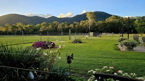 Views of the mountains from the cottage.