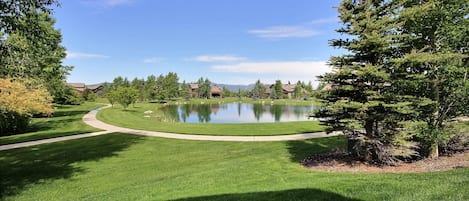 View of walking paths, pond and Big Hole Mountains from back porch. 