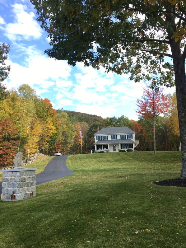 View from road