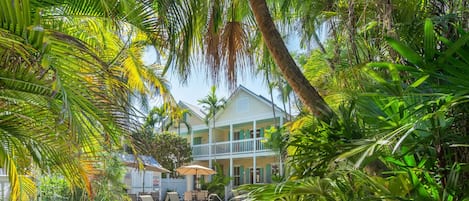 Lush foliage in this tropical oasis!