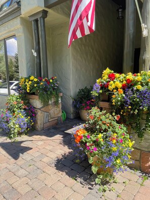 Summer flowers on front porch.