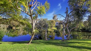 Jardines del alojamiento