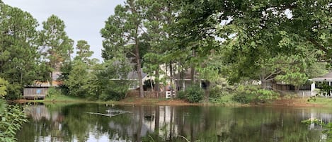 Lake view from the backyard