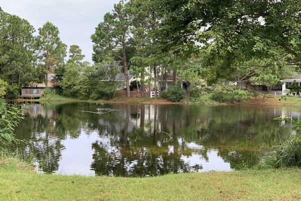 Lake view from the backyard