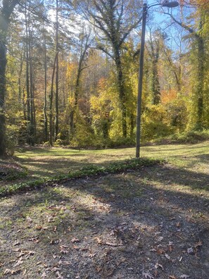 Back yard.  Nice photo showing the leaves changing colors  