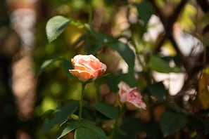 Innendetails