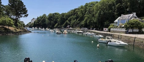 Port de brigneau à proximité ( 2minutes de marche)