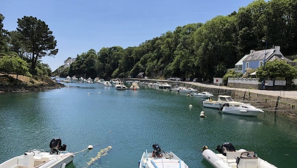 Port de brigneau à proximité ( 2minutes de marche)