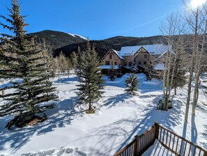 Wintery deck views #winter