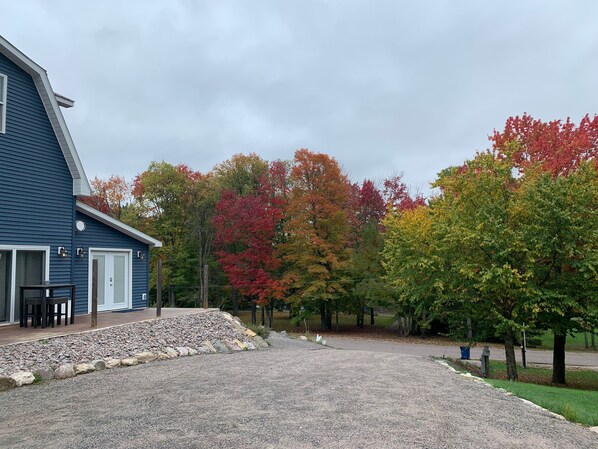 Exteriör