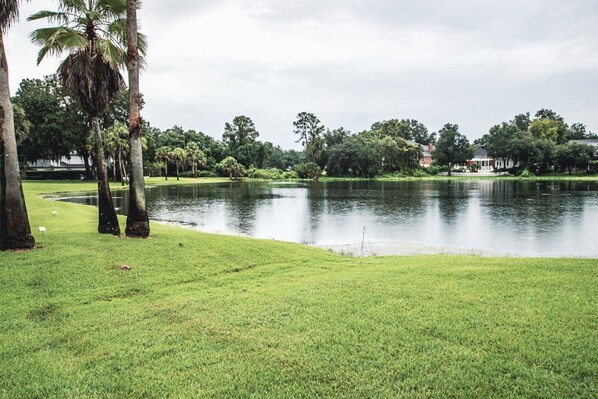 Backyard views!
