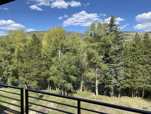 Beautiful view and soothing river sounds from the balcony.