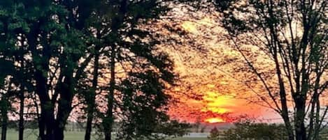 Sunset behind the Cottage