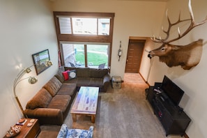 Living Room Area