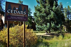 Welcome to Cedars!