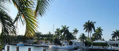 fishing dock 