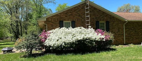 Country Home 1/2 mile from Rend Lake. 