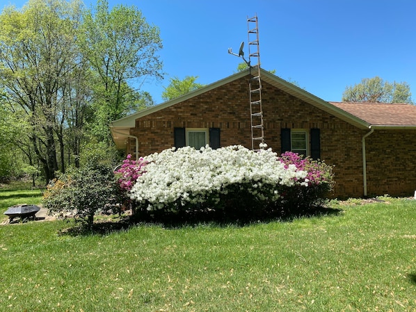 Country Home 1/2 mile from Rend Lake. 