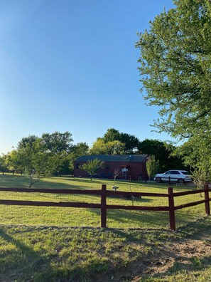 Wire fenced Back Yard for pets and family games!