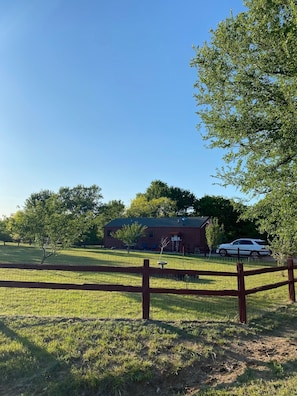 Wire fenced Back Yard for pets and family games!