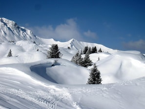 Snow and ski sports