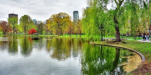 Public Garden
