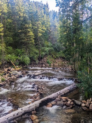 A view upstream directly from the Rocky Mountain River Retreat property