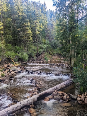 A view upstream directly from the Rocky Mountain River Retreat property