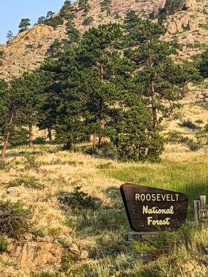 Roosevelt National Forest Entry Sign - Just down the road from the Property