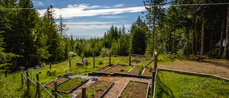 Overnattingsstedets uteområder