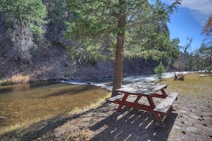 Picnic table on the property literally on the banks of the Florida River