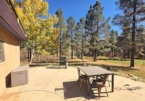 Patio with Dining Area and Grill