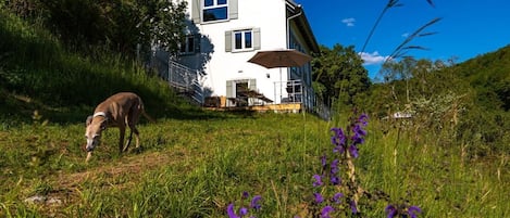 Ferienhaus Naturton in einzigartiger Lage