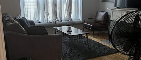 Living room/sofa sleeper