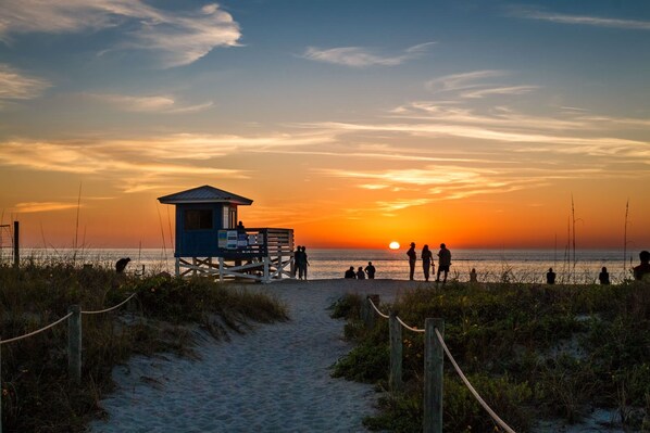 Venice Beach