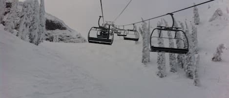 Fernie Alpine Resort