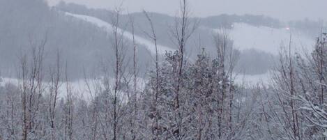 Winter view from cabin