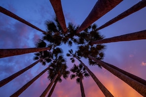 Beautiful sunsets nearly every night