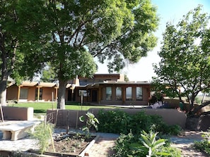 Looking across the back yard and garden toward the house