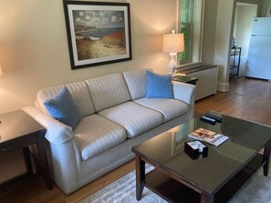 Spacious living room with sofa sleeper couch