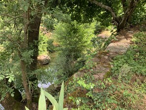 La rivière au pied du Moulin.