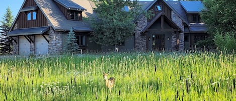 Front of the house with fawn in foreground