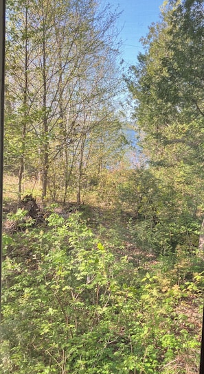 The view of the lake from the living room window, a stone’s throw away.