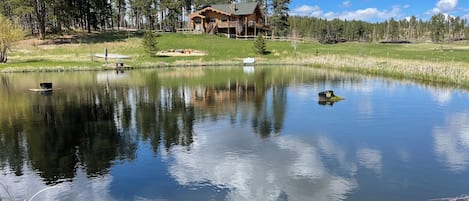 Spring fed pond with fish.