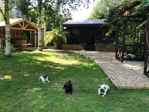 Log Cabin, Hot Tub House & Our Pugs