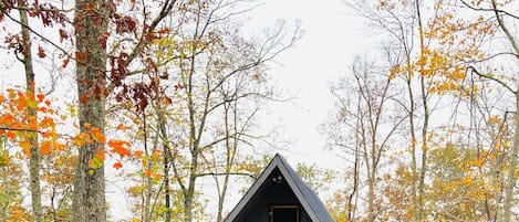 Front of the cabin during  fall colors 