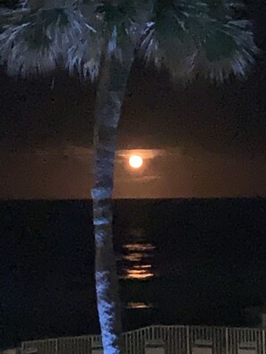 A relaxing evening watching the beautiful moonlight 